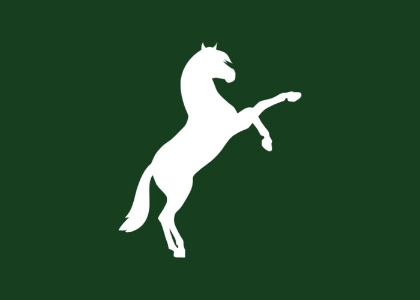 Osteopathie für Pferde