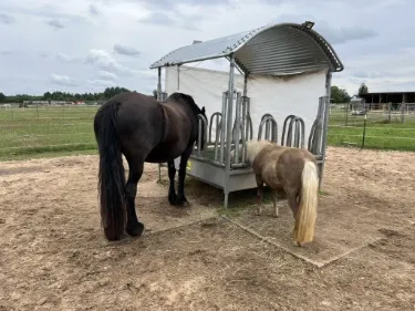 Offenstall- und Weide-Beratung