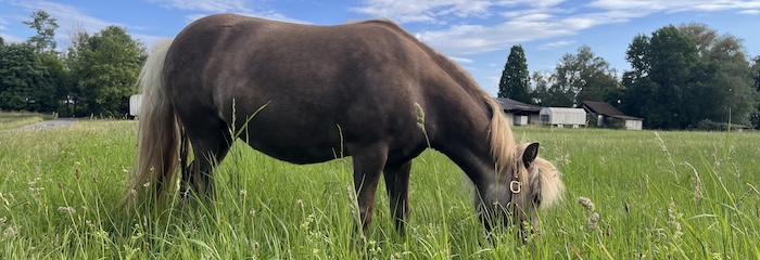 Foto zum Thema